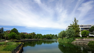 Roeselare,Stadspark,Schiervelde