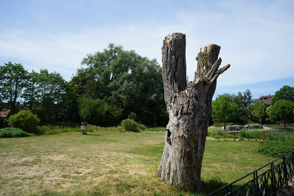 Roeselare,Stadspark,Schiervelde