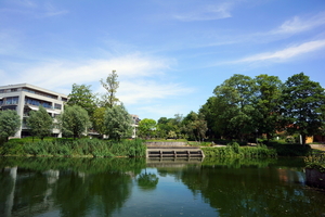 Roeselare,Stadspark,Schiervelde