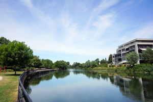 Roeselare,Stadspark,Schiervelde