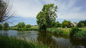 Roeselare,Stadspark,Schiervelde