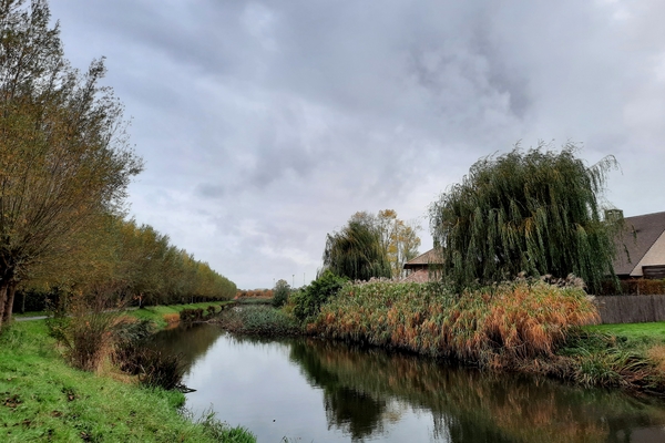 Roeselare,Schiervelde,28-10-2020