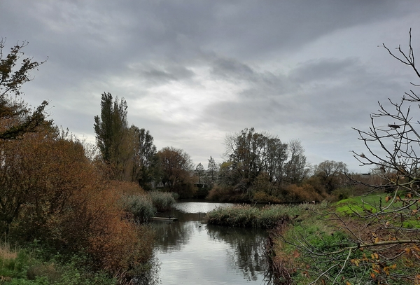 Roeselare,Schiervelde,28-10-2020