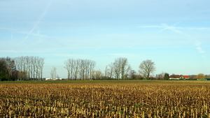 Roeselare-De Ruyter-22-01-2021-1