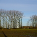 Roeselare-De Ruyter-22-01-2021-4