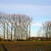 Roeselare-De Ruyter-22-01-2021-5