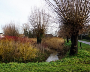 Roeselare-De Ruyter-22-01-2021-7