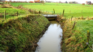 Roeselare-De Ruyter-22-01-2021-9