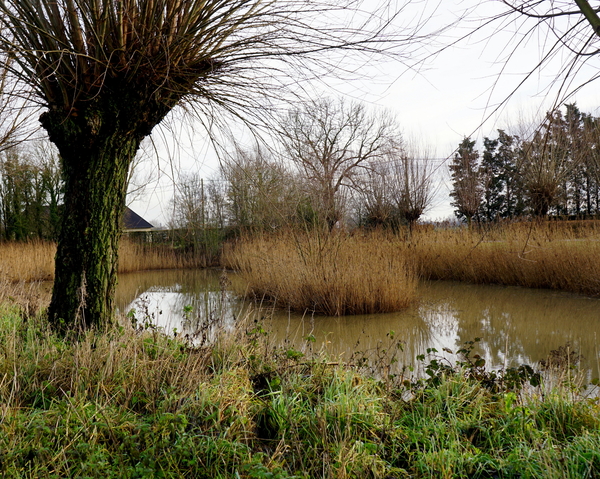 Roeselare-De Ruyter-22-01-2021-10