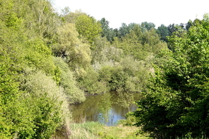 Rumbeke-Kleiputten 3-5-22