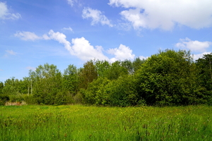 Rumbeke-Kleiputten 3-5-22