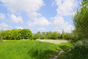 Rumbeke-Kleiputten 3-5-22