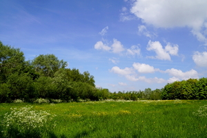 Rumbeke-Kleiputten 3-5-22