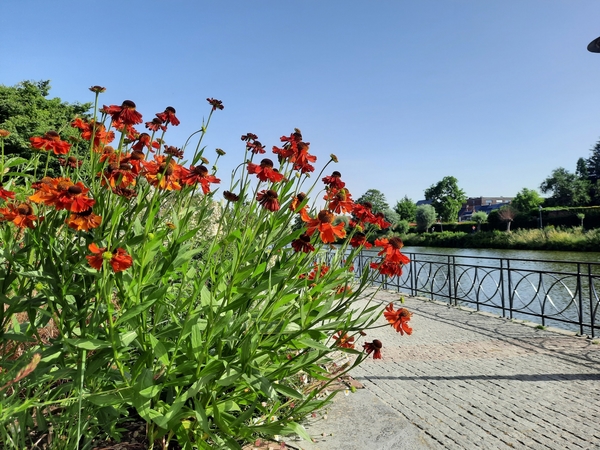 Roeselare-Stadspark-17-6-2022