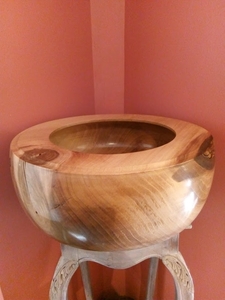 walnoot, 20 cm diep, diam 40