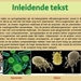 3 Compostdiertjes Micro-organismen Schimmels inleidende tekst