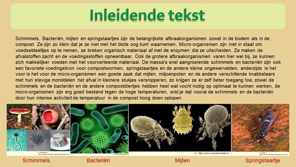 3 Compostdiertjes Micro-organismen Schimmels inleidende tekst