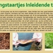 17 Compostdiertjes Micro-organismen Springstaartjes tekst