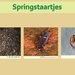 18 Compostdiertjes Micro-organismen Springstaartjes