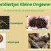 21  Compostdiertjes 2 Kleine ongewervelde Verschillende soorten