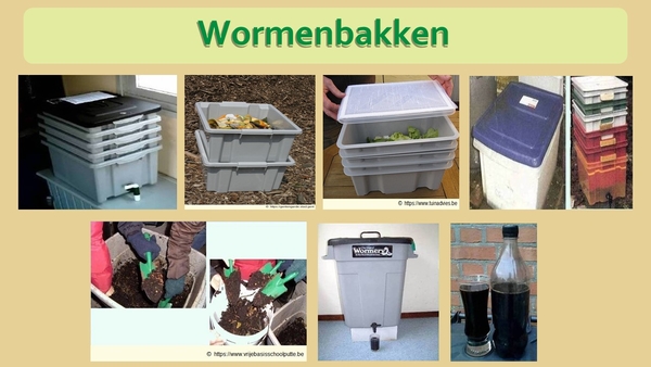 28  Compostdiertjes 2 Kleine ongewervelde compostwormen wormenbak