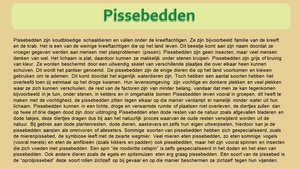 29  Compostdiertjes 2 Kleine ongewervelde Pissebedden (tekst)