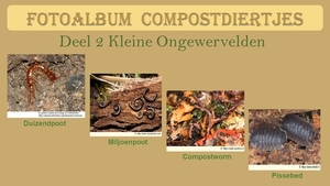 B  Startdia Compostdiertjes Kleine Ongewervelden