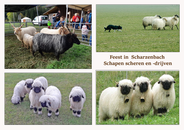 Feest