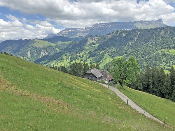 Shangnau  zw.