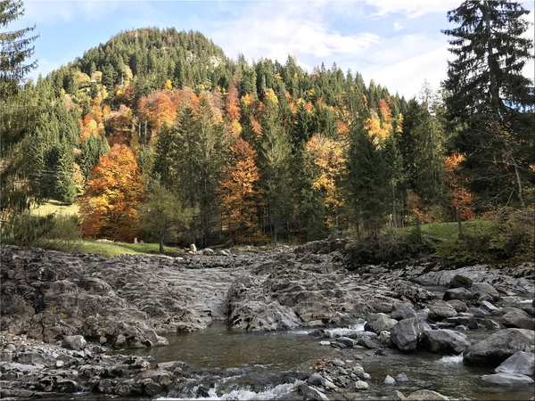Wandelen