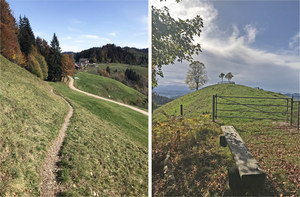 Wandelen in Wasen Emmental