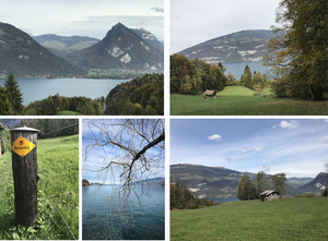 Wandel route