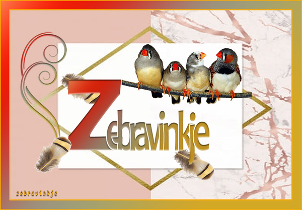 zabravinkje1