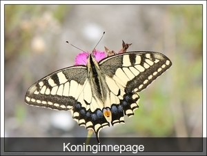 Koninginnepage