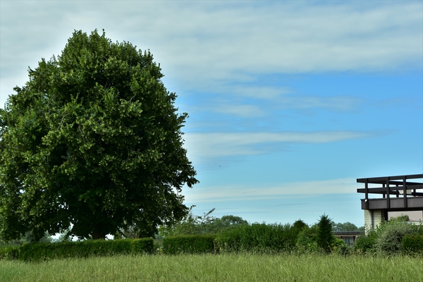 HET ACHTERLAND .......