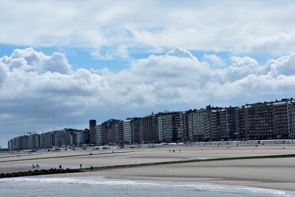 DSC_0706