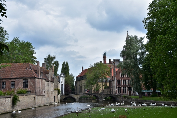 DSC_0860