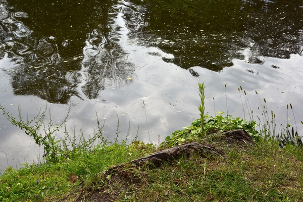 DSC_0863