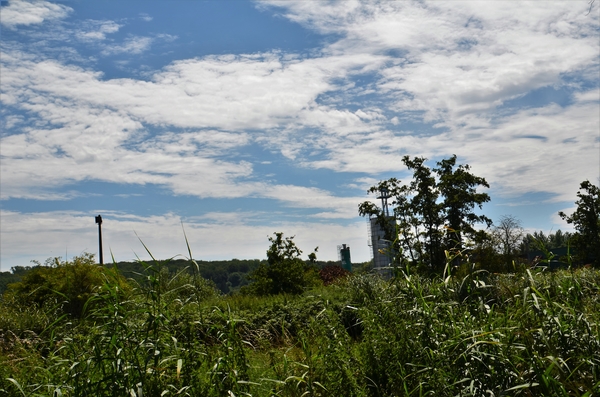DSC_2295