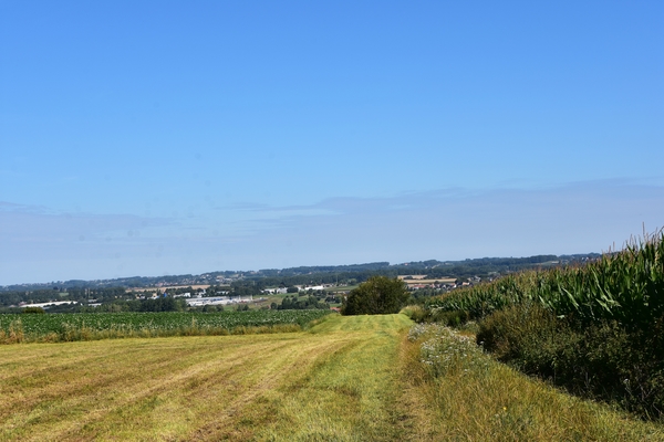 DSC_1187