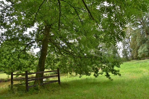 DSC_1320