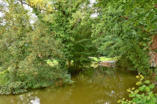 DSC_1326