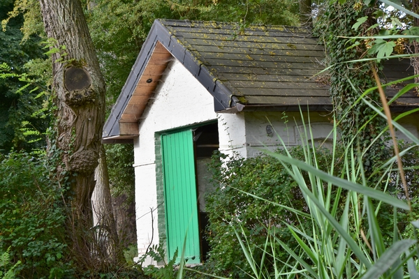 DSC_1334