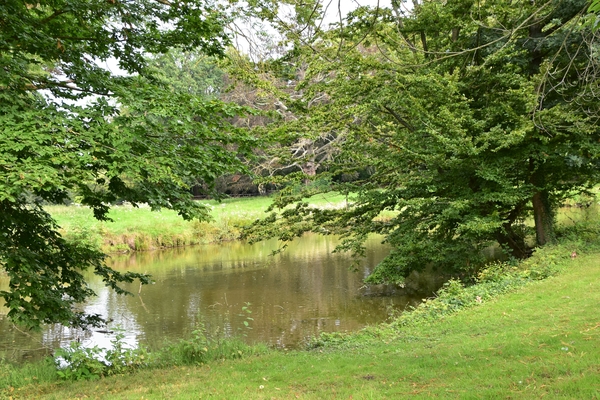 DSC_1347