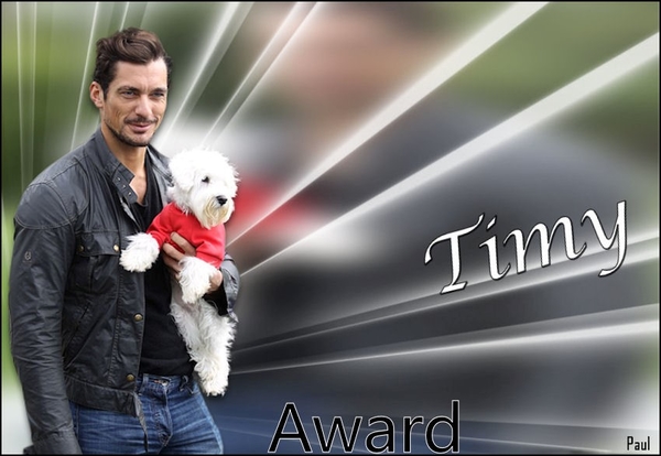 award van paul v timy