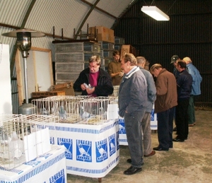 Tentoonstellingen 2008