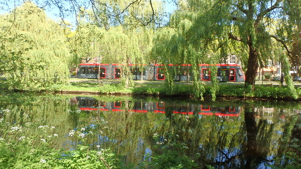 5045 Rijswijksebos 26.04.2020