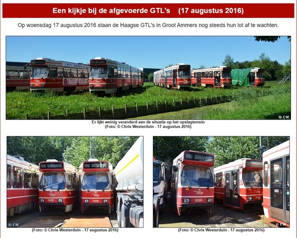 118177801_3345555165494961_8363961865505319132_o