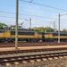 Er is weer een nieuwe voorraad locs gearriveerd in Eindhoven voor