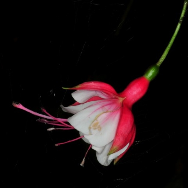 DSC_8661MV_20200912_0464